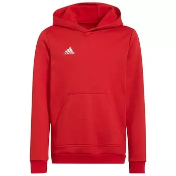 Худи adidas Entrada 22, красный