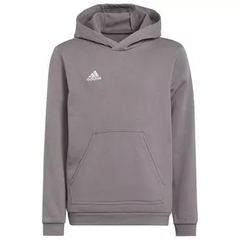 Худи adidas Entrada 22, серый