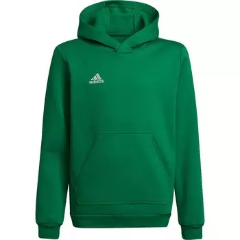 Худи adidas Entrada 22, зеленый