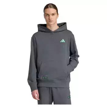 Худи adidas Mercedes-AMG Petronas Formula One Team Premium, серый