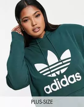 Худи большого размера с трилистником adidas Originals Plus студенческого зеленого цвета