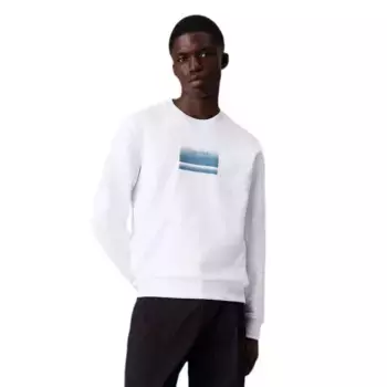 Худи Calvin Klein Gradient Logo, белый
