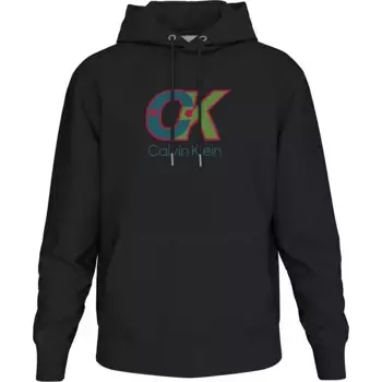 Худи Calvin Klein LV04LD240G, черный