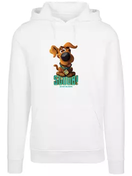 Худи F4NT4STIC Scooby Doo Puppy Scooby, белый