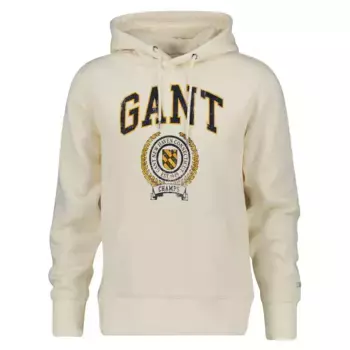 Худи Gant Front Graphic, бежевый