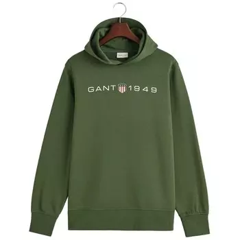 Худи Gant Printed Graphic, зеленый