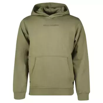 Худи Helly Hansen, зеленый