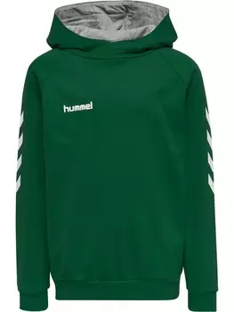Худи Hummel Cotton Hmlgo Multisport Kinder, цвет evergreen