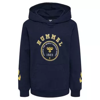 Худи Hummel Geography, синий