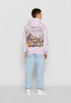 Худи Km234-022-2 Small Signature Os Washed Heavy Landscape Karl Kani, светло-фиолетовый