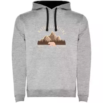 Худи Kruskis Bear, серый