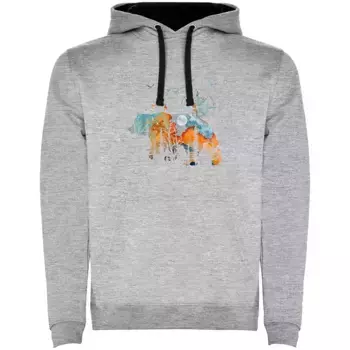 Худи Kruskis Compass Bear, серый