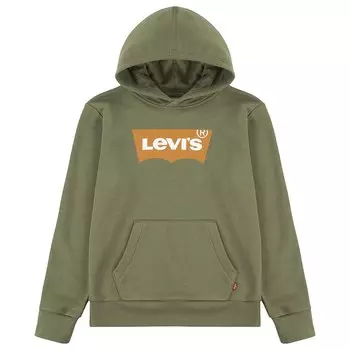 Худи Levis Batwing Screenprint Teen, зеленый