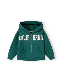 Худи Minoti s 20fleece43, зеленый