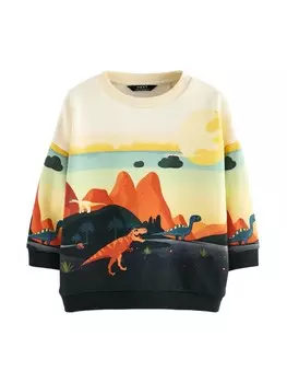 Худи Next Sweatshirt, черный