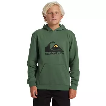 Худи Quiksilver Big Logo, зеленый