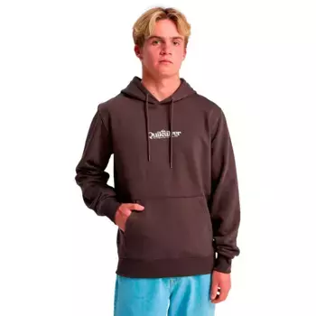 Худи Quiksilver Screen Fineline, коричневый