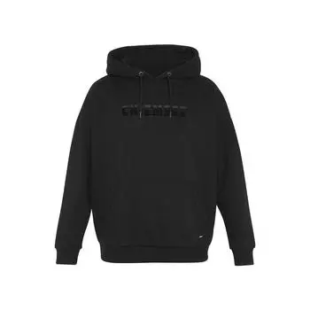 Худи с полосатым флоковым принтом CHIEMSEE, цвет schwarz