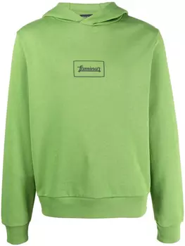 Худи с принтом Laminar Herno, зеленый