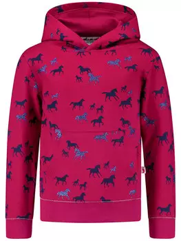 Худи Salt and Pepper, цвет beere