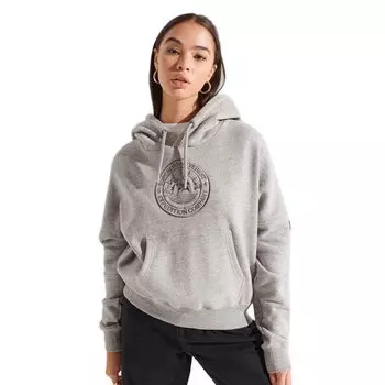 Худи Superdry Expedition Graphic Crop, серый