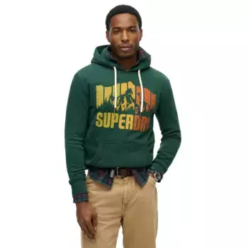 Худи Superdry Mountain Rainbow, зеленый