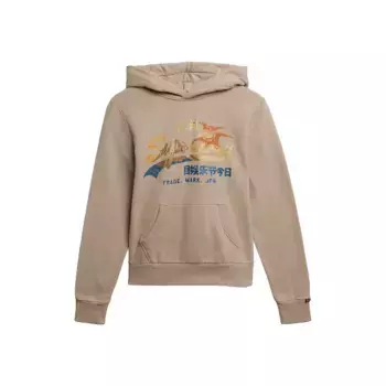 Худи Superdry Tokyo Vl Relaxed Fit, бежевый