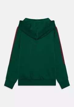 Худи Tiro Nations Pack Unisex adidas Performance, темно-зеленый