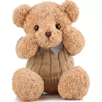 Hug Baby Обнимает куколку, Темно-коричневый мишка + красная толстовка.