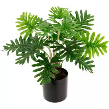 И.ГЕ.А. Искусственное комнатное растение «Фило» I.Ge.A., зеленый