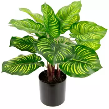 И.ГЕ.А. Искусственное комнатное растение «Марантус» I.Ge.A., зеленый