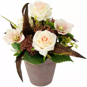 И.ГЕ.А. искусственное растение I.Ge.A., светло-розовый