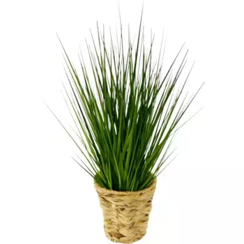 И.ГЕ.А. искусственное растение I.Ge.A., зеленый