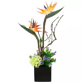 И.ГЕ.А. искусственное растение I.Ge.A., цвет orange