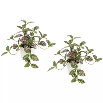 И.ГЕ.А. Искусственное растение «Искусственное комнатное растение мини Аукуба в горшке», шелковые цветы, свисающие растения, вьющееся листовое растение, свисающие зеленые растения I.Ge.A., зеленый/красный