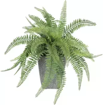 И.ГЕ.А. Искусственное растение "Искусственный лесной папоротник в горшке папоротник искусственный папоротник папоротниковый кустарник лесное растение" I.GE.A. 40х48х40 см, зеленый