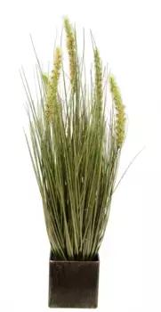 И.ГЕ.А. Искусственное растение "Лисохвост Трава", в горшке I.GE.A. 20х55 см, зеленый