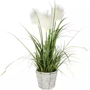 И.ГЕ.А. Искусственное растение "Пампасная трава", с кашпо, искусственная пампасная трава I.GE.A. 22х80х22 см, белый