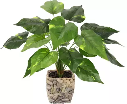 И.ГЕ.А. Искусственное растение "Потос в горшке с водным гиацинтом" I.GE.A. 35х37 см, зеленый