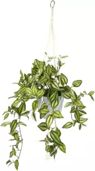 И.ГЕ.А. Искусственное растение "Традесканция", подвесная корзина с традесканцией I.GE.A. 45х83х30 см, зеленый/красный