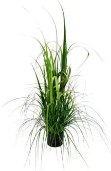 И.ГЕ.А. Искусственное растение "Травка в горшке" I.GE.A. 26х120 см, зеленый