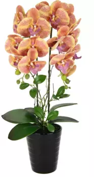 И.ГЕ.А. Искусственный цветок "Орхидея", в горшке Орхидея Фаленопсис Фаленопсис в свадебном кашпо I.GE.A. 26х58х18 см, цвет orange