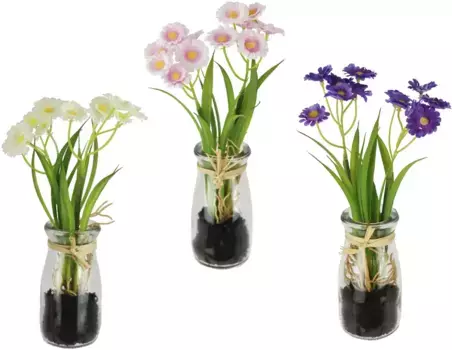 И.ГЕ.А. Искусственный цветок "Ромашки" I.GE.A. 9х21х9 см, белый