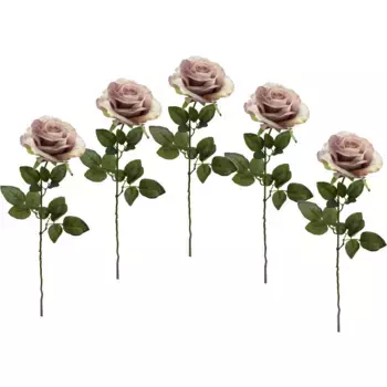 И.ГЕ.А. Искусственный цветок «Роза», набор 5 шт I.Ge.A., цвет mauve