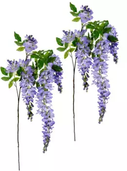 И.ГЕ.А. Искусственный цветок "Ветка золотого дождя", в наборе 2 или 5 шт I.GE.A. 33х95х30 см, цвет violett