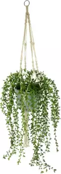 И.ГЕ.А. Искусственный усик "Senecio", в подвесной корзине I.GE.A. 28х65 см, зеленый