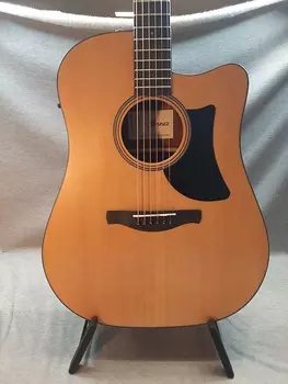 Ibanez AAD50CE-LG