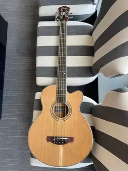 Ibanez AEB105ENT