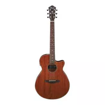 Ibanez AEG220 6-струнная электроакустическая гитара (правая рука, натуральный глянец) Ibanez AEG220 AEG Series Acoustic-Electric Guitar, Natural Low Gloss