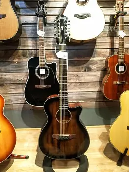 Ibanez AEG5012 12-струнная AEG5012-BK 12-String